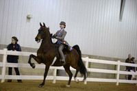 55.  Equitation Championship-All Ages