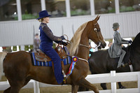 78.  ASB Country Pleasure Western Championship