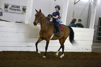 37A. Academy Horse Training Class