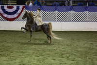 106.  ASB 3Gt Adult Country Pleasure National Championship