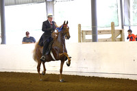 50.  ASB Open Five-Gaited