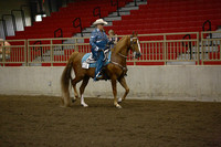 084.  Open Western Pleasure Championship (any breed)