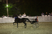 18.  Amateur Road Horse