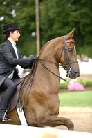 23.  Amateur Three-Gaited Over-Two
