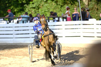 66.  Amateur-Juvenile Road Pony Championship