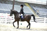 094.  Hunt Seat Equitation Stock type only
