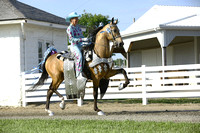 109.  Parade Horse Championship