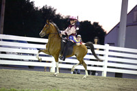 123A.  Road Pony Under Saddle Championship