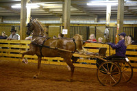 37A. AHHS Pleasure Driving Jr Exhibitor