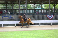 47.  Amateur Five-Gaited Stake