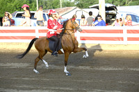 59.  Road Pony Under Saddle Championship