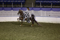 161.  Parade Horse National Championship