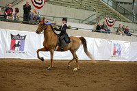 65.  Open WTJ Equitation-11 & Under-Any Seat
