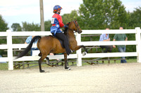 23.  Road Pony Under Saddle