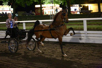 18.  Harness Pony AADC