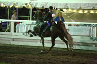 26.  ASB Open Five-Gaited