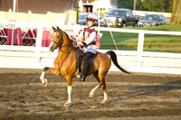 56.1 Road Pony Under Saddle