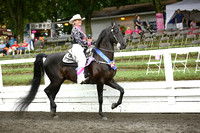 103.  ASB Western Country Pleasure Championship