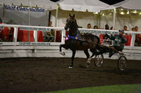 123.  Road Horse Championship