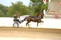 06.  Amateur Road Horse