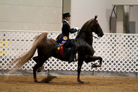 157.  Equitation Championship
