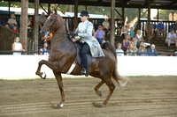 S01.  Amateur-Juvenile Five-Gaited Stake