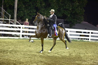 S15.  Five-Gaited Stake