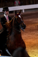 14.  ASB Five-Gaited Country Pleasure