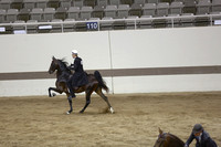 68a.  Two-Year-Old Five-Gaited