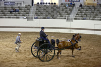 101.  Carriage Class