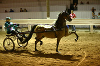 18. Amateur Road Pony