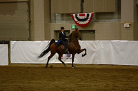35.  ASB Open Five-Gaited