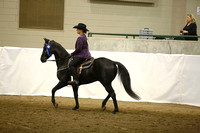 99.  Acad Horsemanship Adult WT