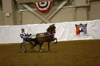 137.  Road Pony Championship