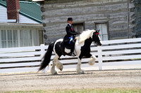 70-Draft Horse:Pony Under Saddle