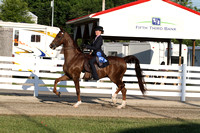 34-Saddle Seat Equitation 13 & Under
