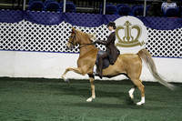 134.  ASB Juvenile 3Gt Country Pleasure 13 & Under National  Championship