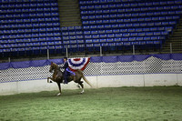61.  Ladies Three-Gaited Over-Two