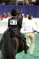 118-Equitation-10 Year Olds WT