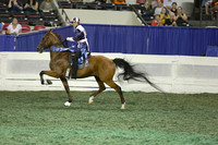 073.  Amateur Road Horse Under Saddle