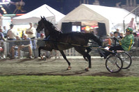 12-Amateur Road Horse