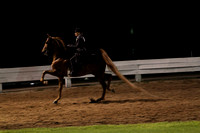 20.  Amateur Park Horse