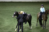 099.  Juvenile Hackney Pleasure Pony-Horse Under Saddle