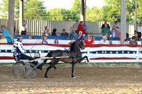 47-Equine Roadster Pony Cup