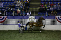 175.  Road Horse National Championship