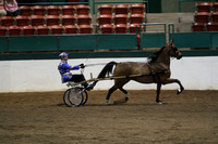 93-Amateur Road Horse