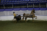 142.  ASB Country Pleasure Driving National Championship