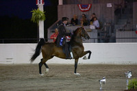 67.  UPHA 3 Yr Old Park Pleasure  Classic