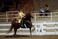 154.  Juvenile Five-Gaited 13 and Under Championship