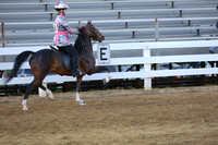 11.  Road Pony Under Saddle